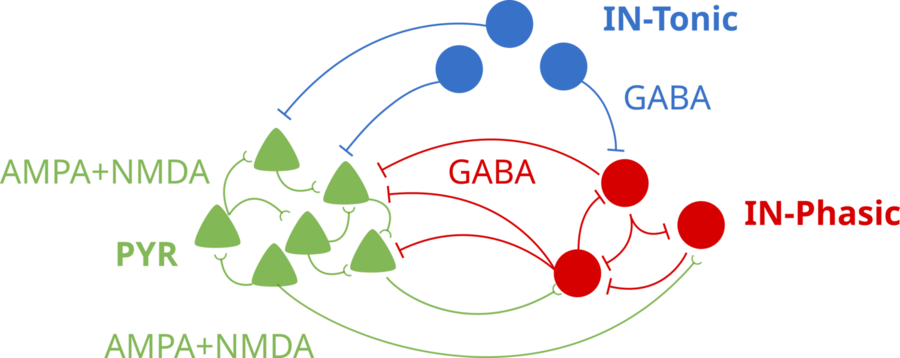 A network schematic shows the model arrangement of three different types of neurons in a cortical circuit.