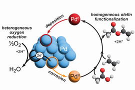 Diagram illustrating the cyclic nature of palladium corrodes turning into oxygen.